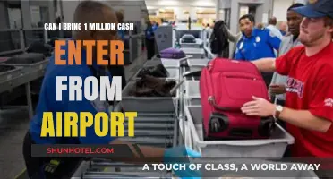 Traveling with Cash: Can I Bring $1 Million?