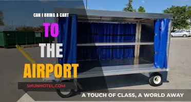 Airport Cart Transportation: Is It Allowed?