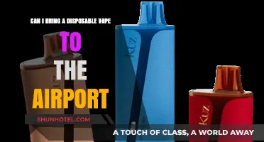 Airport Vaping Rules: Disposable Vapes Allowed?