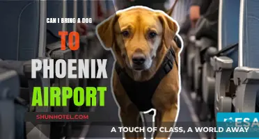 Traveling with Dogs: Phoenix Airport Pet Policy
