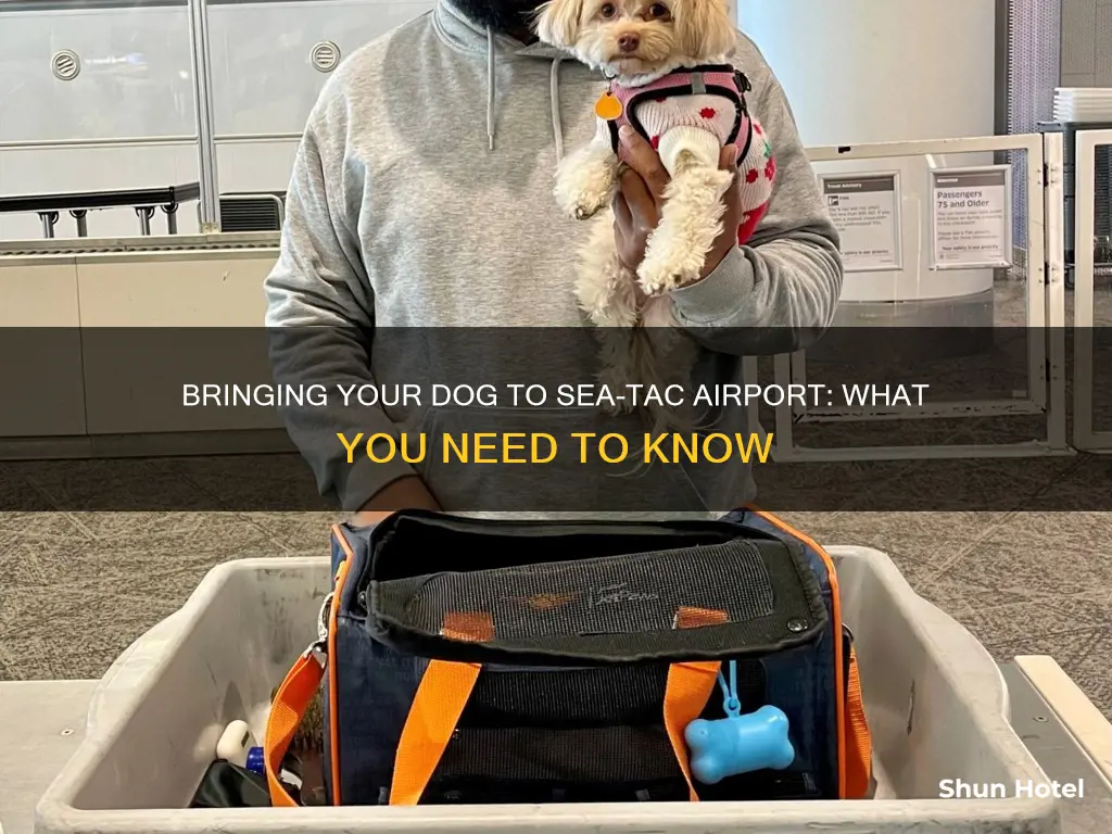 can i bring a dog to seatac airport