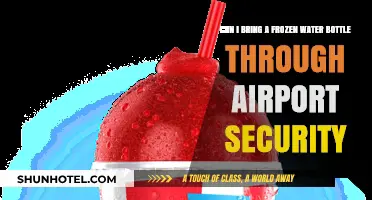 Airport Security: Frozen Water Bottles Allowed?