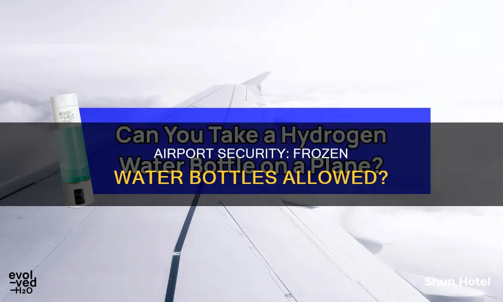 can i bring a frozen water bottle through airport security