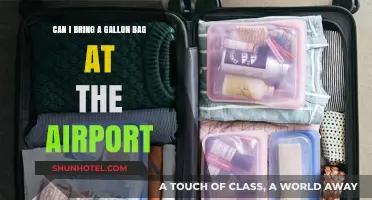 Travelers' Guide: Gallon Bags at Airports