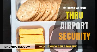 Traveling with Lunchables: TSA-Friendly or Not?