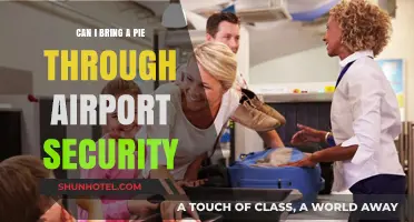 Traveling with Pies: TSA-Friendly or Not?