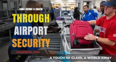 Travel Snacks: What Can I Bring Through Airport Security?