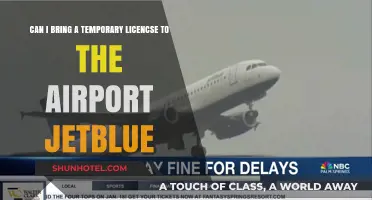 Temporary Licenses: Valid ID for JetBlue Flights?