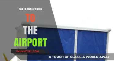 Airport Wagon Woes: Can I Bring It?