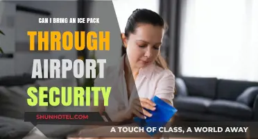 Traveling with Ice Packs: TSA Rules and Regulations
