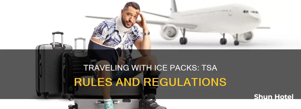 can i bring an ice pack through airport security