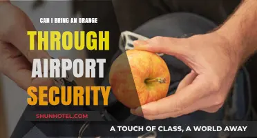 Airport Security: Oranges, a No-Go or a Go?