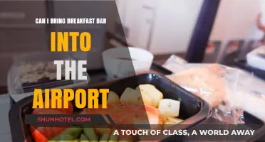 Travelers' Breakfast Conundrum: Airport-Friendly Breakfast Bars?