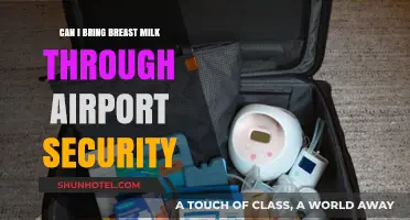 Breast Milk and Airport Security: What's Allowed?