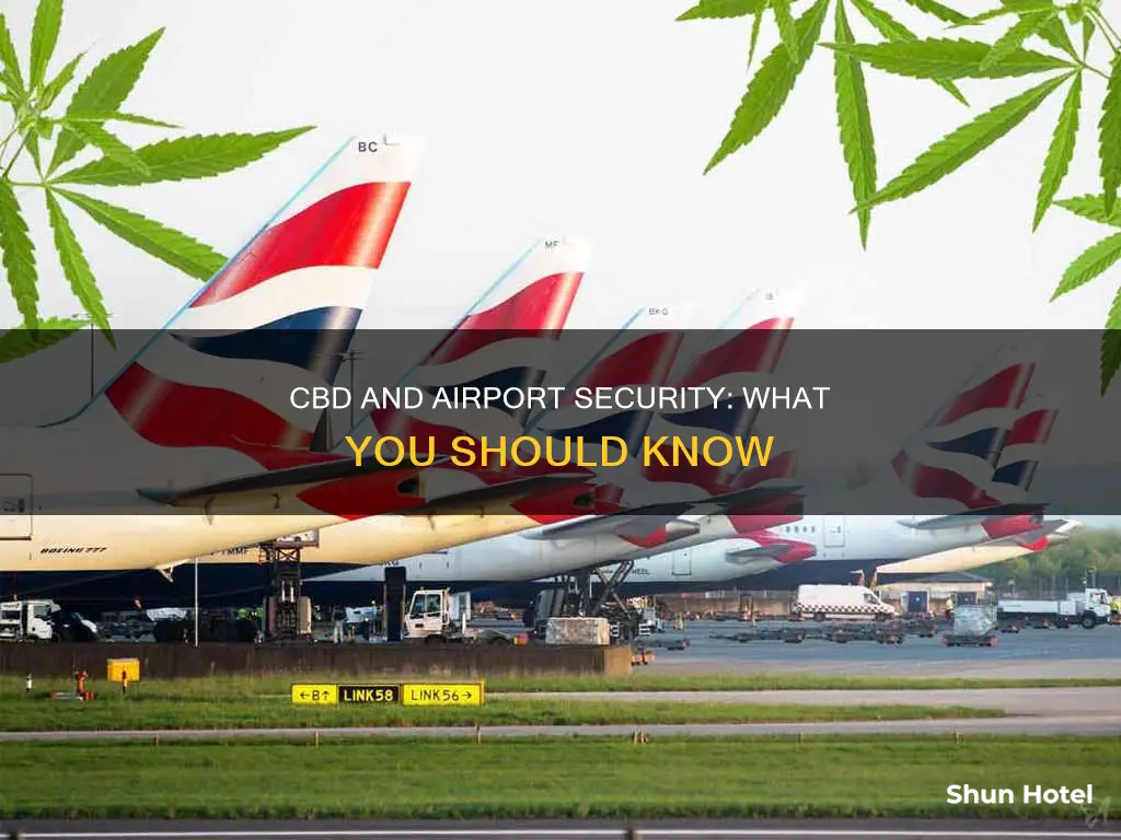 can i bring cbd back to airport