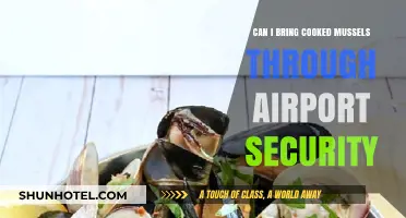 Traveling with Cooked Mussels: TSA Rules and Regulations