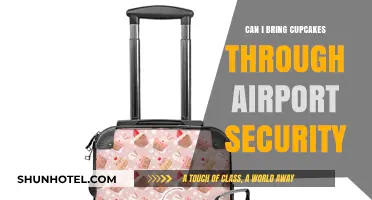 Traveling with Cupcakes: Airport Security Rules Explained