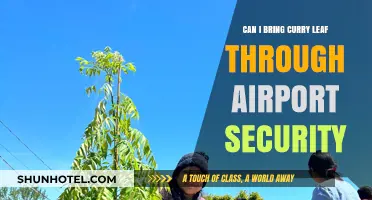 Traveling with Curry Leaf: Airport Security Rules