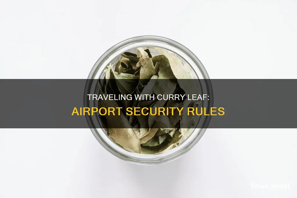 can i bring curry leaf through airport security