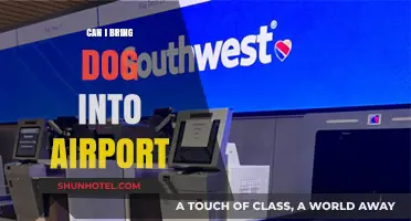 Bringing Your Dog to the Airport: What You Need to Know