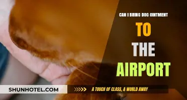 Airport Travel with Your Dog and Its Ointment