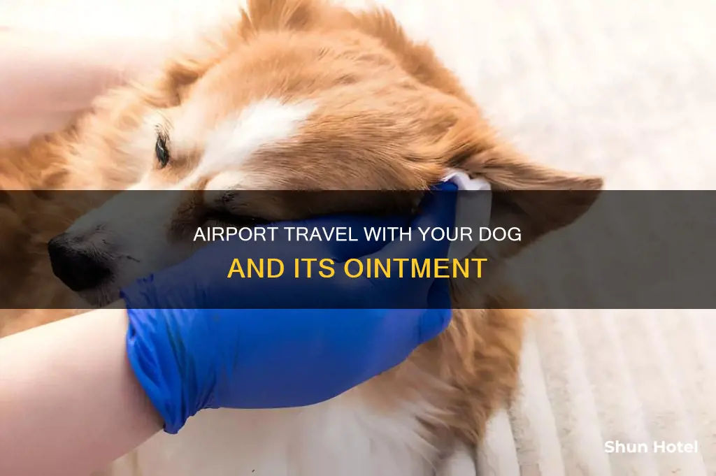 can i bring dog ointment to the airport