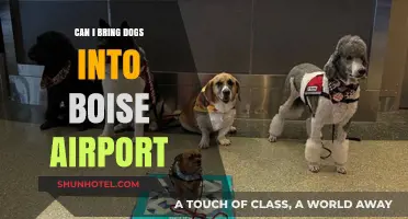 Boise Airport: Are Dogs Allowed Inside?