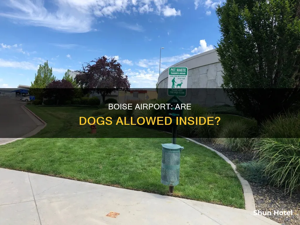 can i bring dogs into boise airport