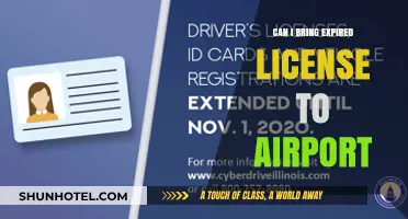 Airport Security: What to Do With Expired Licenses