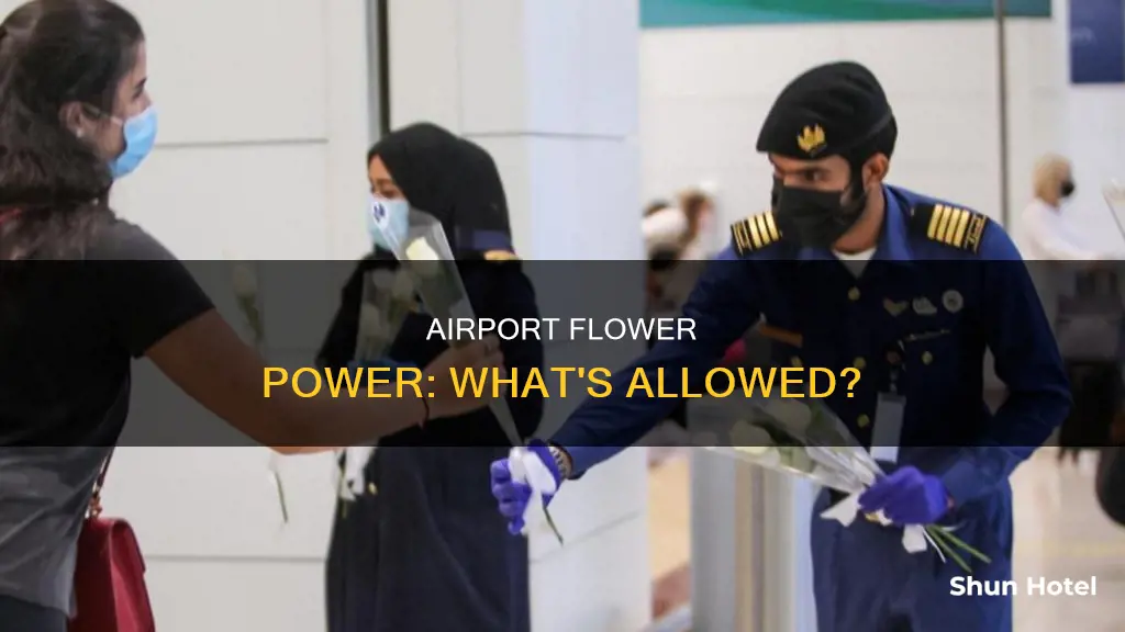 can i bring flowers to the airport