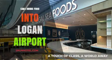Bringing Food to Logan Airport: What You Need to Know