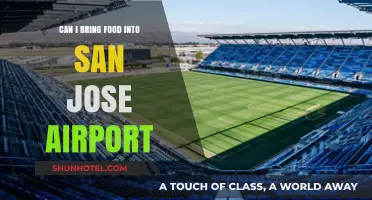 What Foods Can You Bring to San Jose Airport?