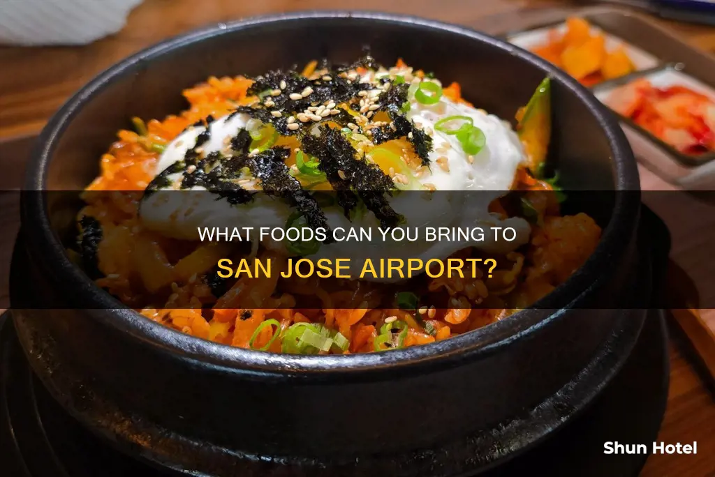 can i bring food into san jose airport