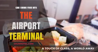 What Foods Can I Bring Through Airport Security?