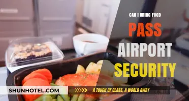 What Foods Can I Bring Through Airport Security?