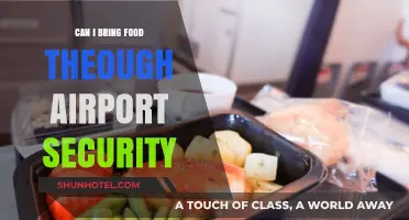 What Foods Can I Bring Through Airport Security?