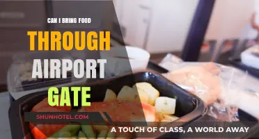 Travelers' Guide: Bringing Food Through Airport Security