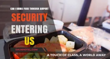 What Foods Can I Bring Through Airport Security?