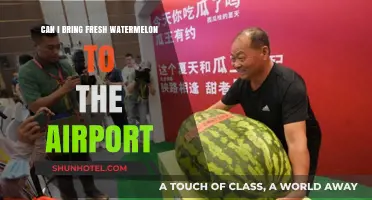Traveling with Watermelon: What You Need to Know