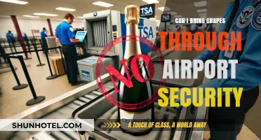 Airport Security and Grapes: What's Allowed?