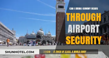 Traveling with Gummy Bears: Airport Security Rules