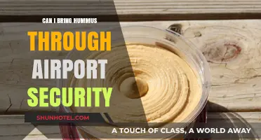 Hummus and Airport Security: What You Need to Know