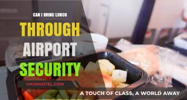 Traveler's Lunch: Bringing Food Through Airport Security