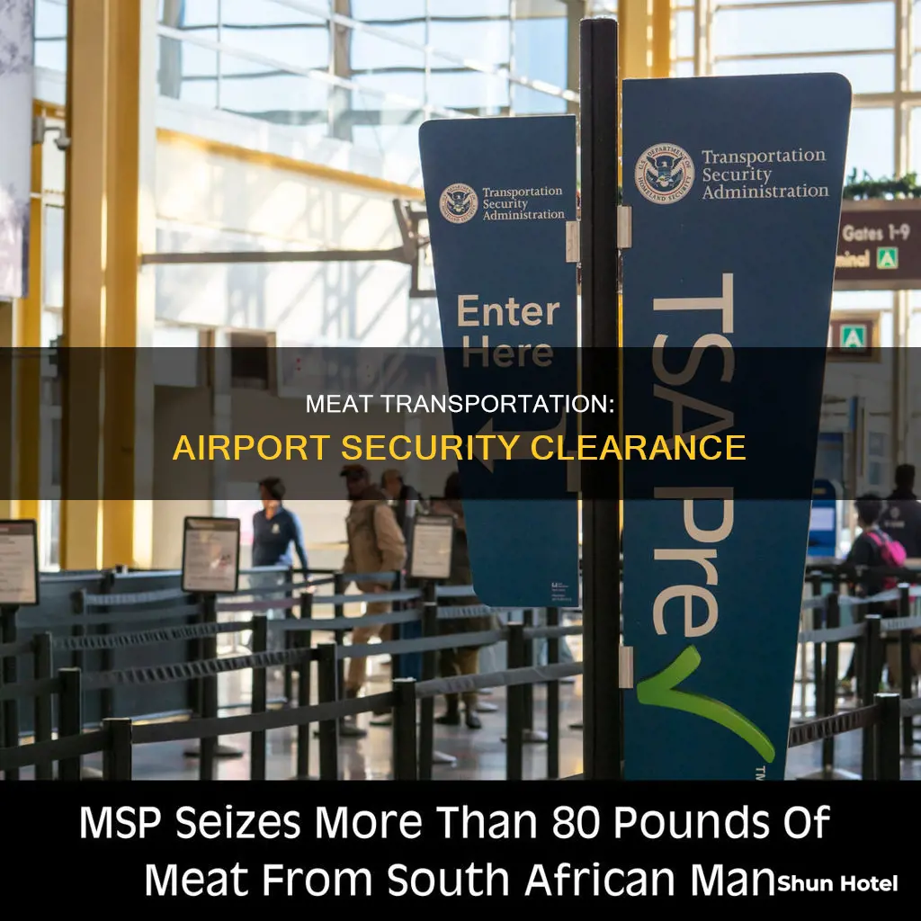 can i bring meat through airport security