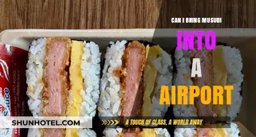 Musubi: Airport-Friendly Snack or Security Risk?