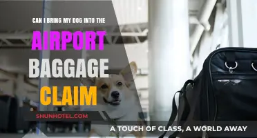 Bringing Dogs to Airports: Baggage Claim Area Access