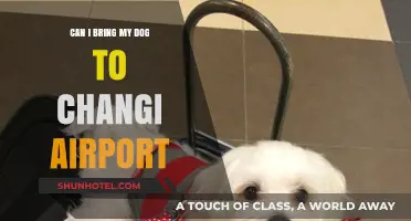 Exploring Changi Airport with Your Dog