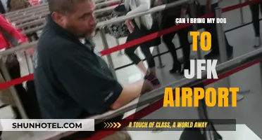 JFK Airport: Can You Bring Your Dog?