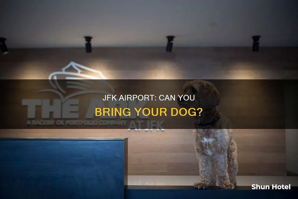 can i bring my dog to jfk airport