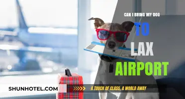 Traveling with Your Pup? LAX Airport Pet Policy Explained